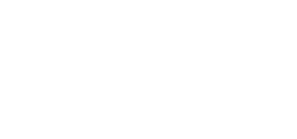 aimen logo white